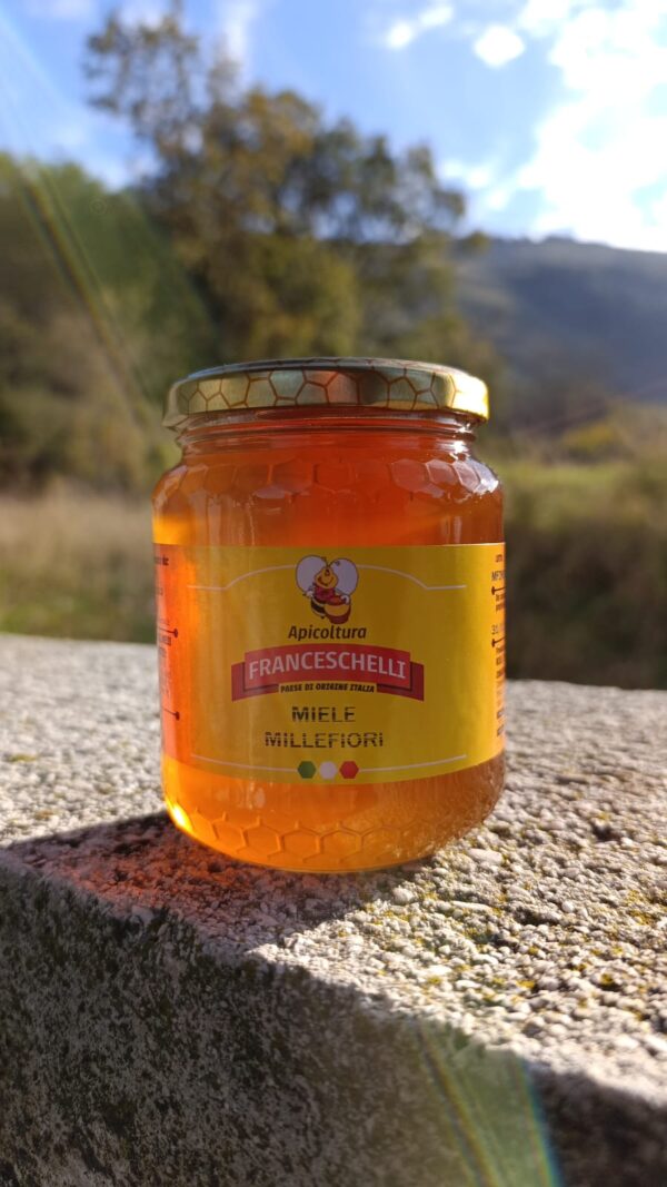 Miele Millefiori - Apicoltura Franceschelli