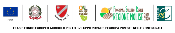 Logo FEASR